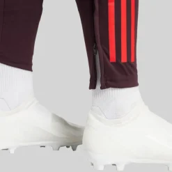 Best adidas Dame FCB FC Bayern München Træningsbukser Shadow Maroon/Rød