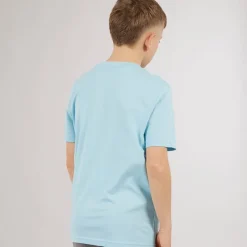 Hot Puma Drenge Grafik T-shirt Aqua Blå