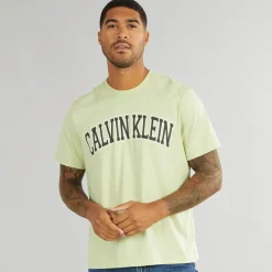 Hot Calvin Klein Jeans Herre Curve Varsity Log T-Shirt Aloe Wash