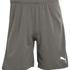 Discount Puma Herre teamRISE Sport træningsshorts Grå Grå