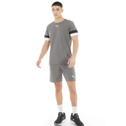 Discount Puma Herre teamRISE Sport træningsshorts Grå Grå