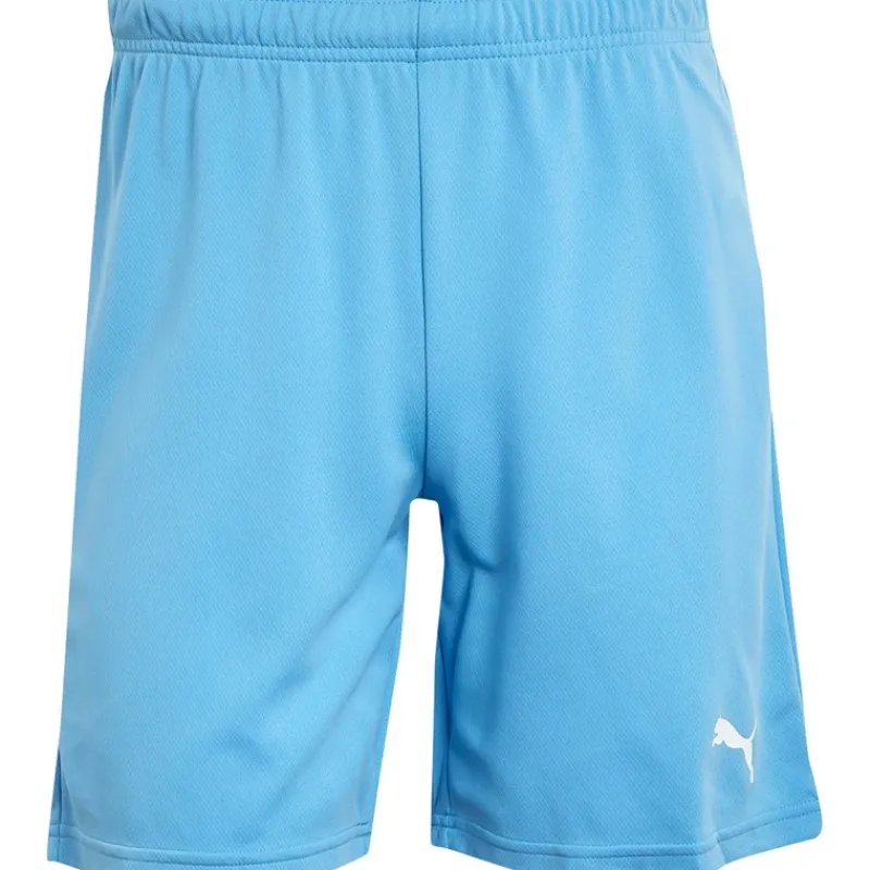 Sale Puma Herre teamRISE Sport træningsshorts Blå Blå